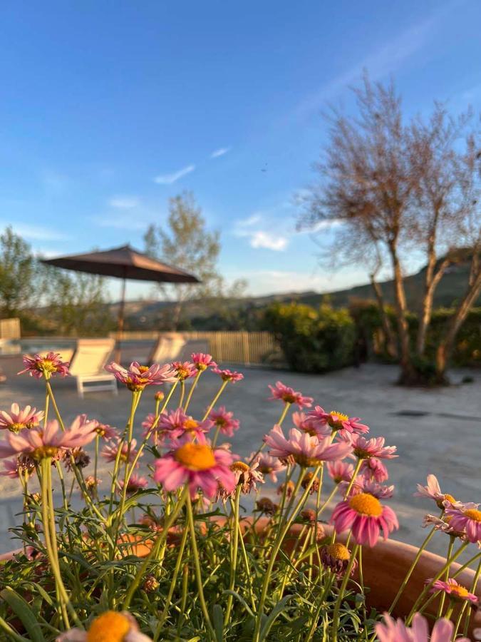 Villa Giara Calosso Екстериор снимка